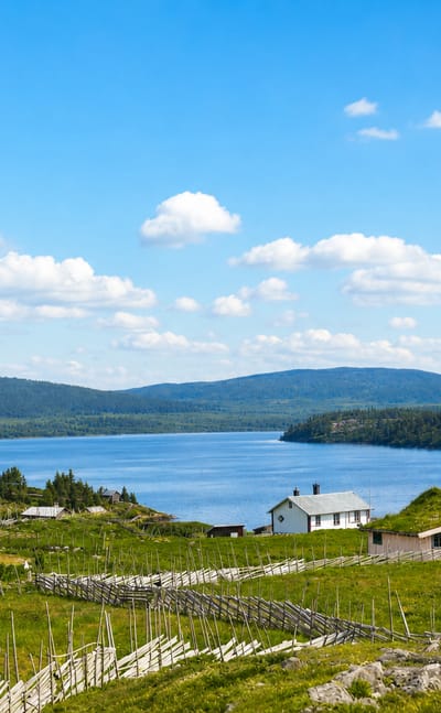 Traditional turf-roofed cabins and a Norwegian flag on grassy slopes above Sjusjøen lake, with forested hills beyond.