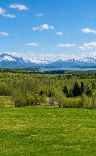 Green meadows and birch forest below snow-capped peaks and a fjord in the landscape around Oppeid, Nordland.
