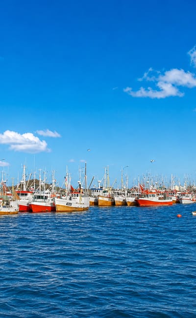 Røst
