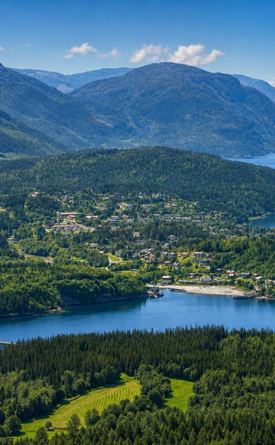 Aerial view of Terråk, Norway, on a forested fjord peninsula with a bridge crossing calm water.