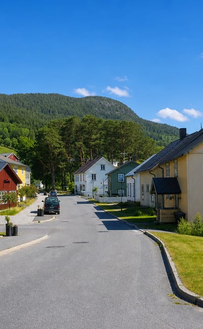 Quiet main street lined with wooden houses below a forested hillside in Fyresdal