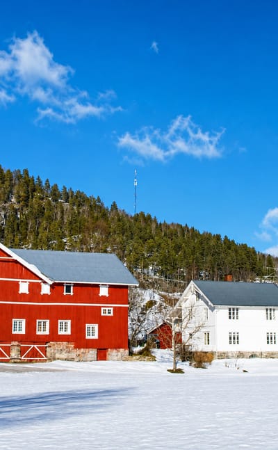 Red barn and white farmhouse on a snow-covered field below a forested hillside in Sauland, Norway.