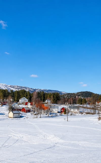 Snow-covered village with red timber houses and barns below wooded mountains at Treungen, Norway