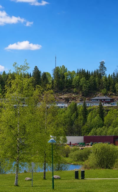 Lakeside houses on a wooded hill with Norwegian flags at Ulefoss, Norway