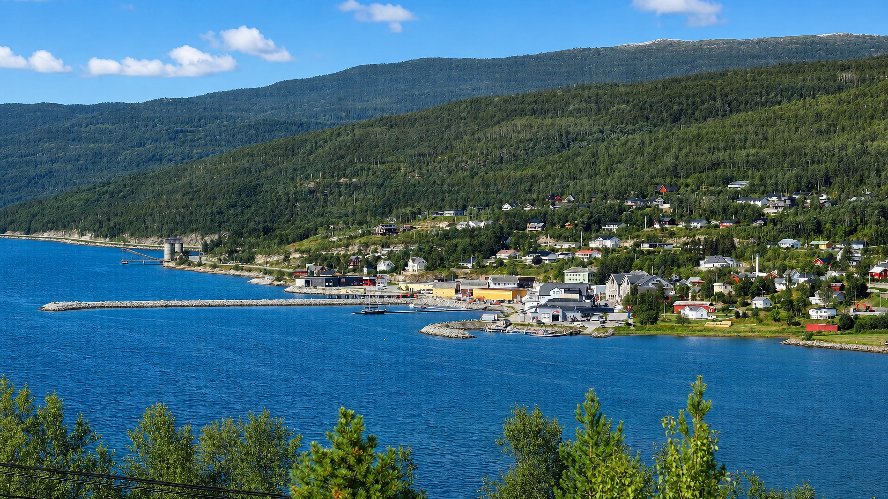 Sjøvegan, Norway, a village strung along the fjord shore with a harbour below forested Troms hills.