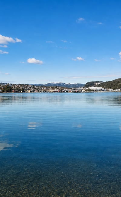 Botngård's low coastal settlement strung along the far shore of a calm fjord, with low hills behind under a blue sky.