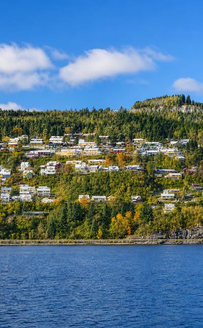 Hillside houses scattered among autumn forest above the calm fjord at Hommelvik, Norway.