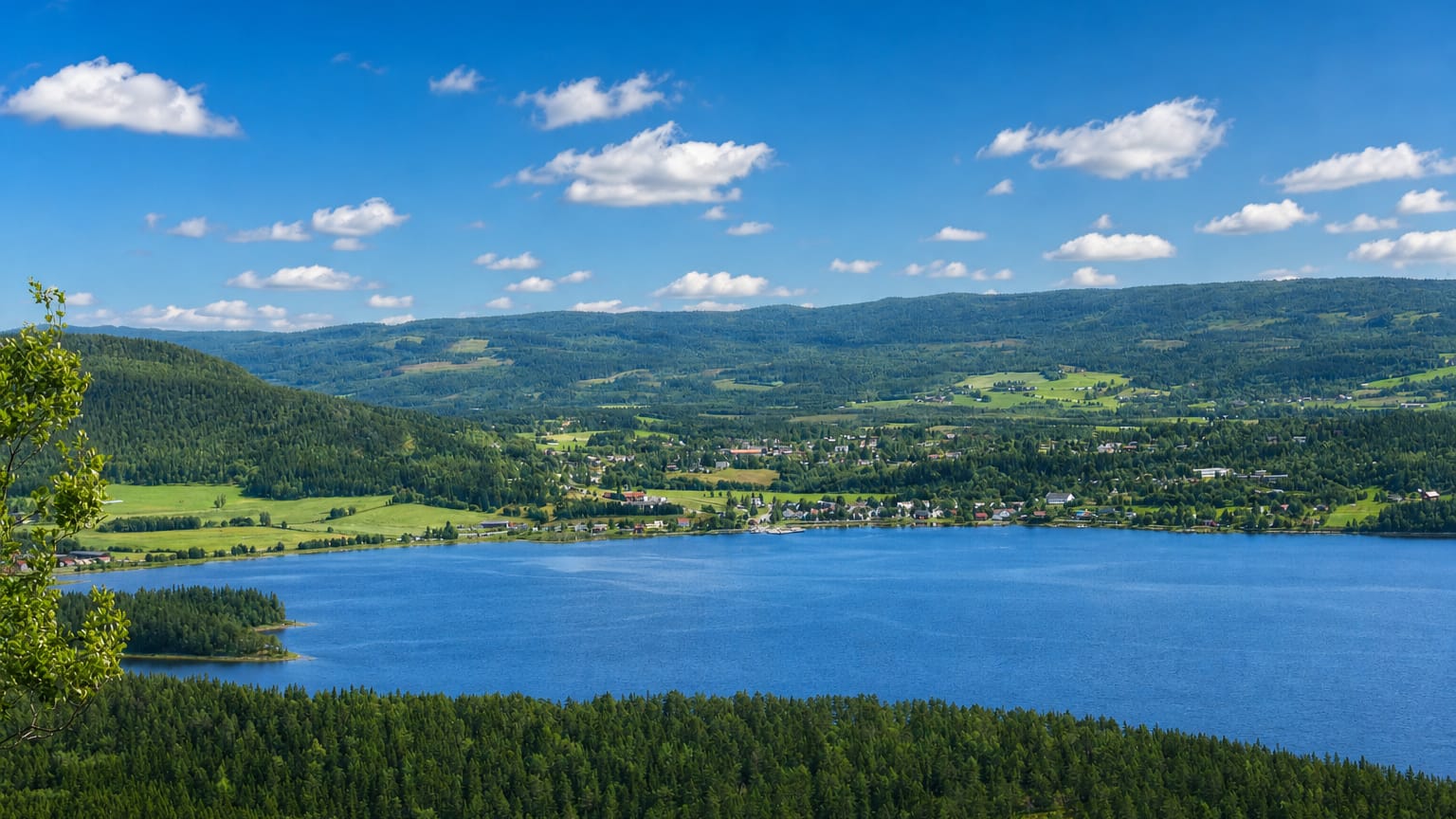 Snåase