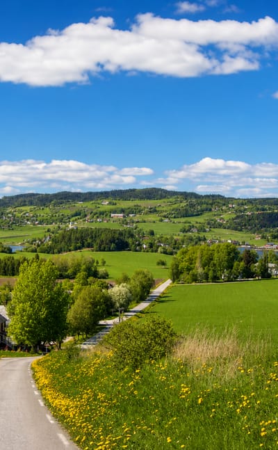 Rolling green farmland with red barns, a lake and a winding road near Straumen in central Norway.