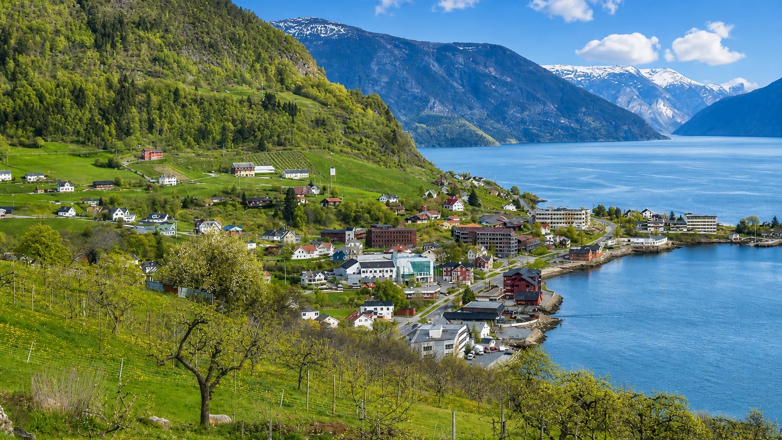 Hermansverk village along the Sognefjord shore, orchards on green slopes and snow-capped mountains across the water.