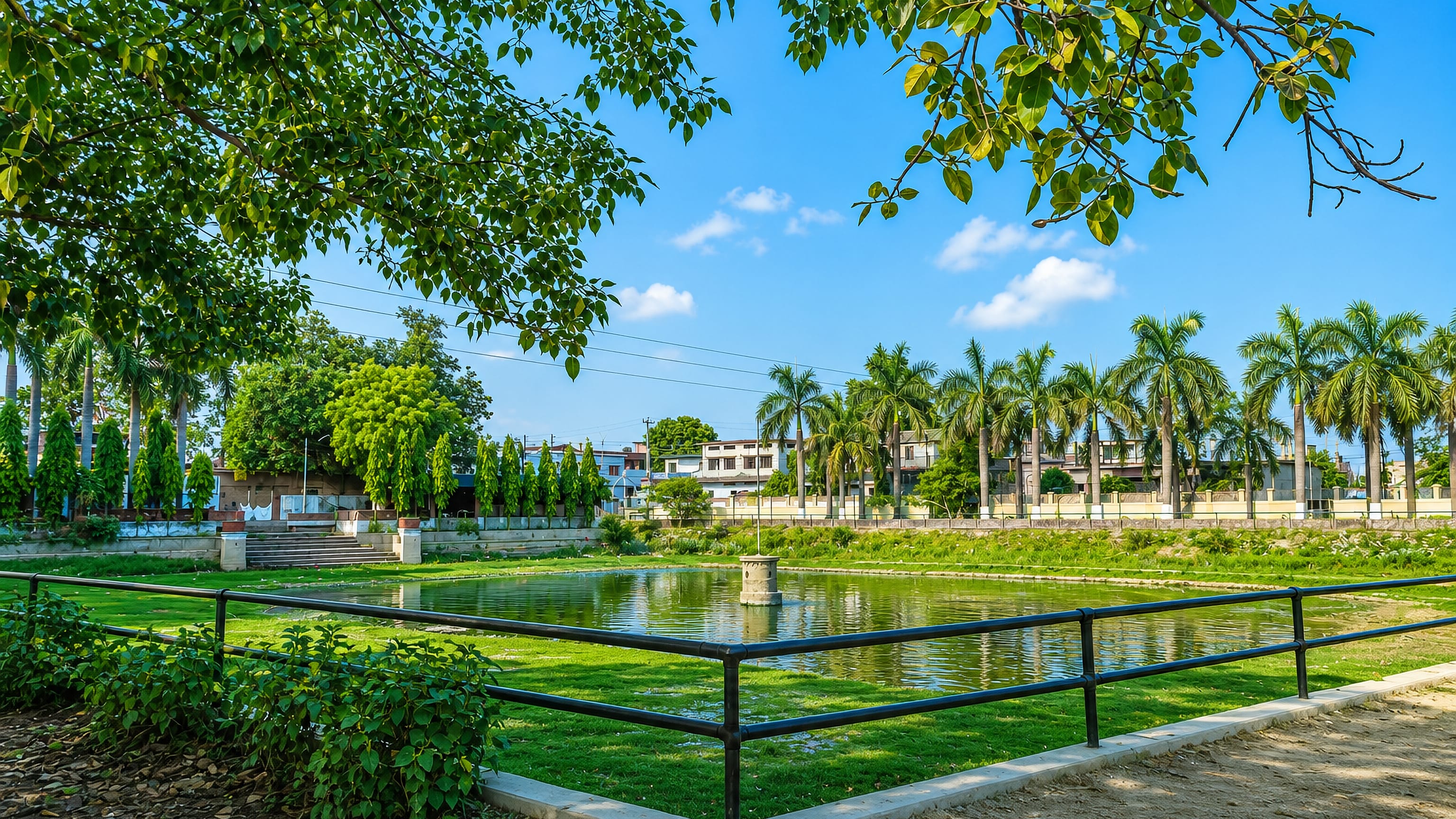 A tree-shaded park pond edged with palms in Nepalgunj, with low-rise buildings along the far bank