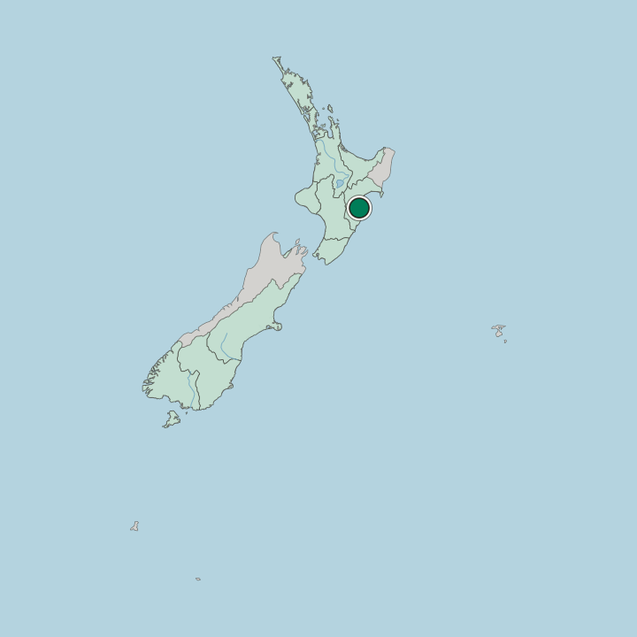 Map showing Flaxmere — In New Zealand