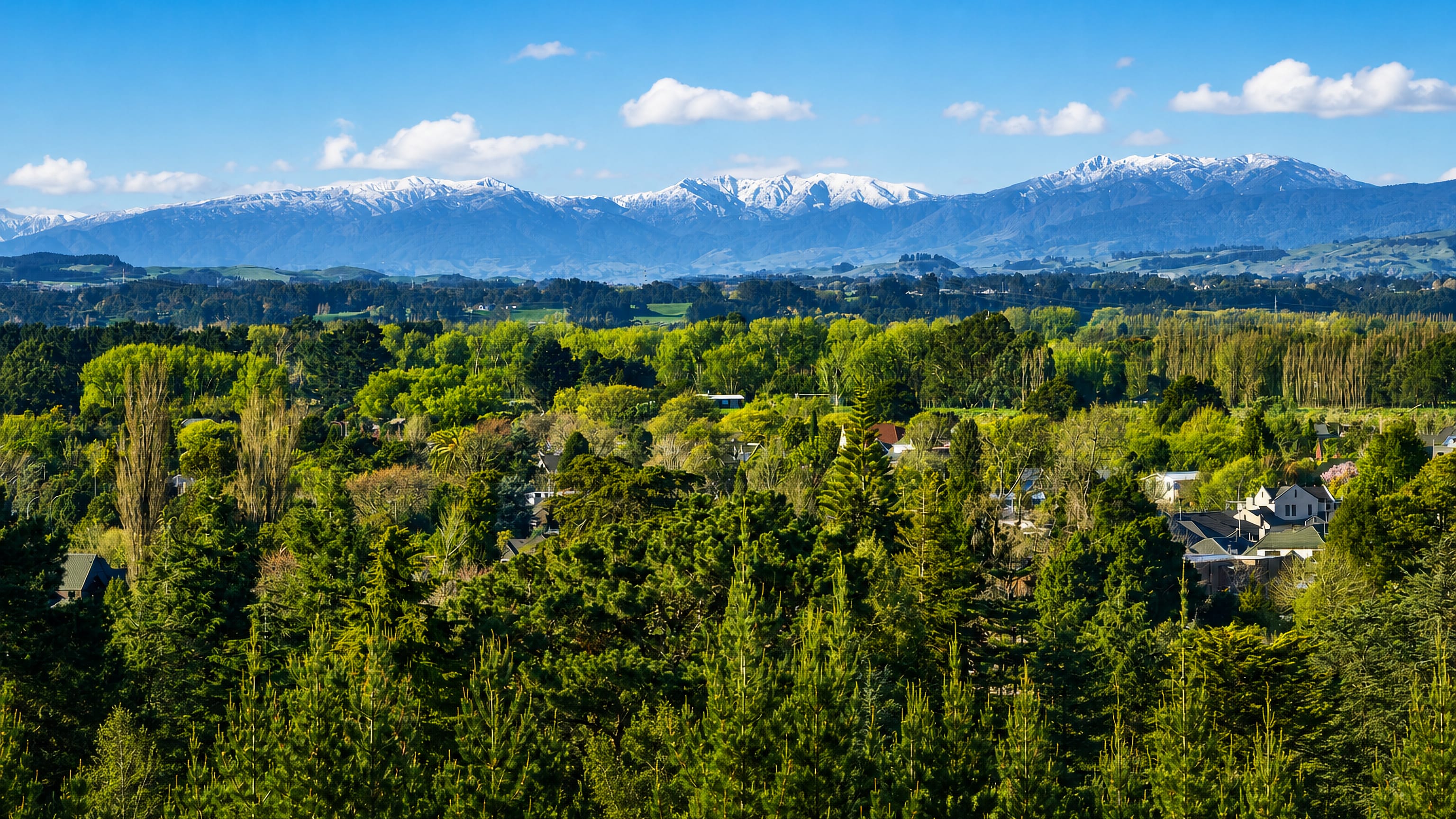 Tree-covered suburbs of Palmerston North, New Zealand, below the snow-dusted Tararua Range.