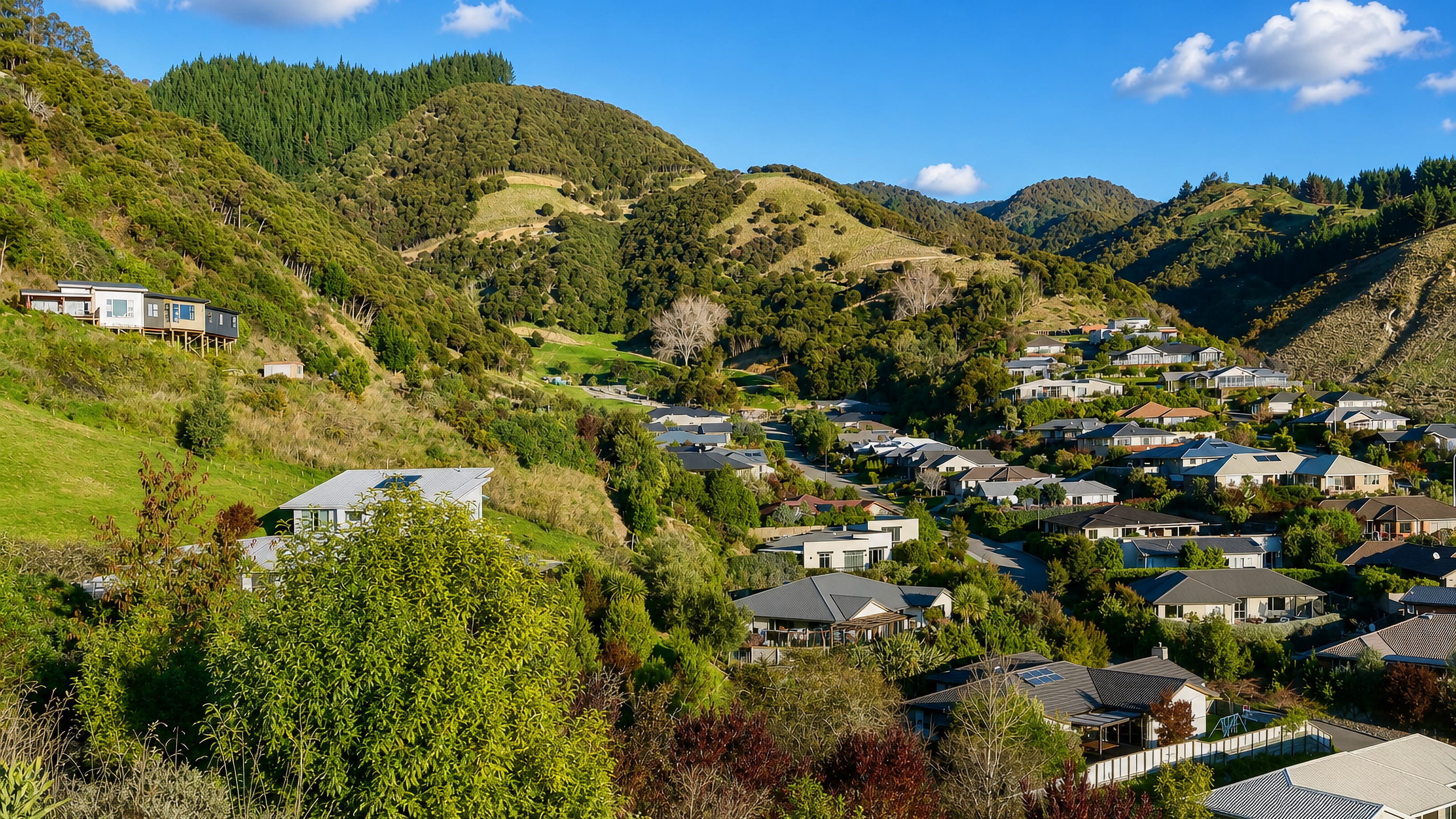 Hillside houses set among bush-clad ridges and green valleys above Nelson, New Zealand.