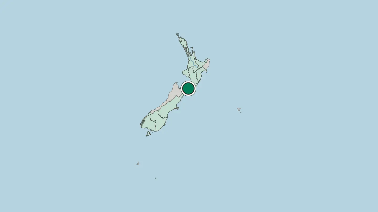 Map of Wellington in New Zealand