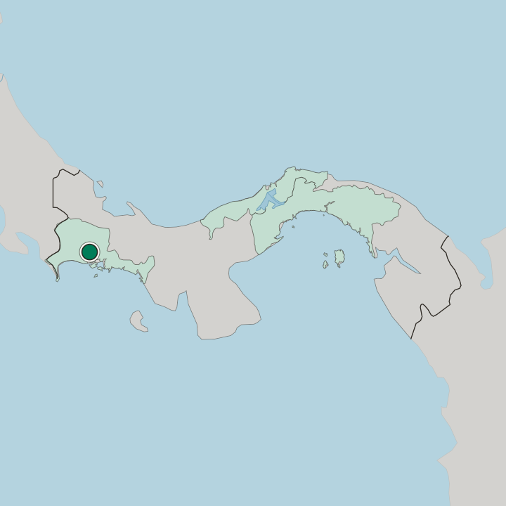 Map showing David — In Panama