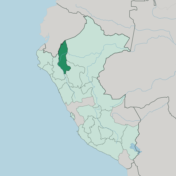 Map showing Departamento de Amazonas — In Peru