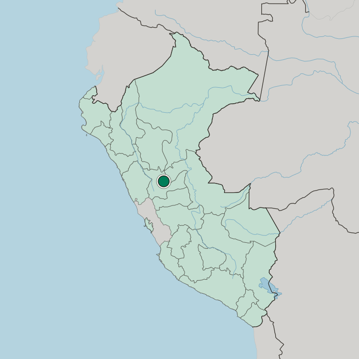 Map showing Tingo María — In Peru