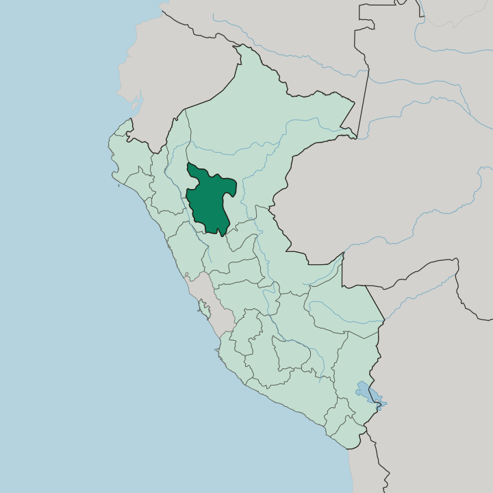Map showing Departamento de San Martín — In Peru