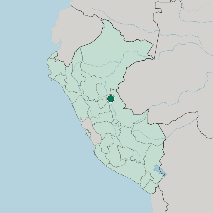 Map showing Pucallpa — In Peru