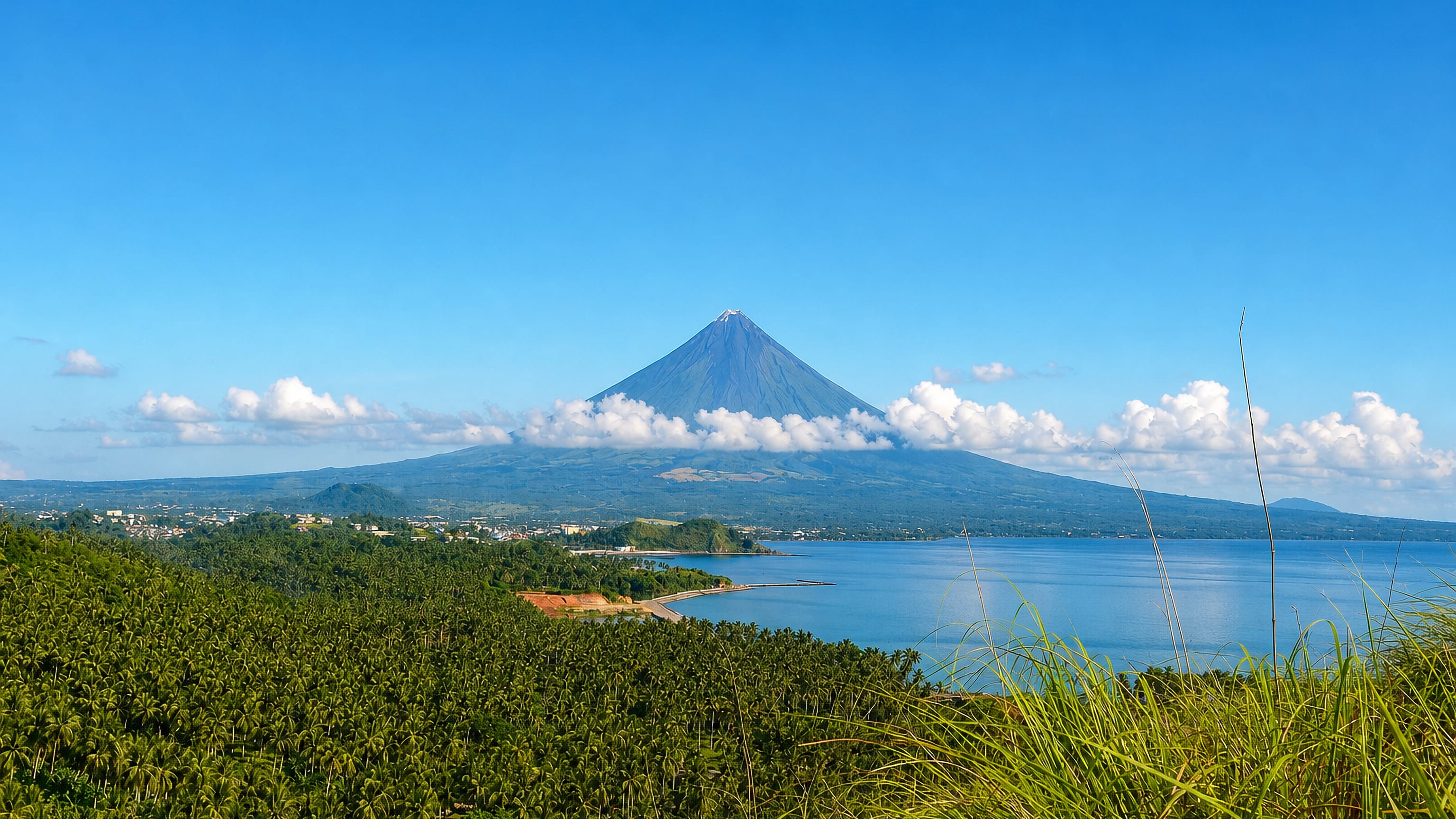 Mayon Volcano's cone rising over Albay Gulf and the coconut groves beside Legazpi City, Philippines.