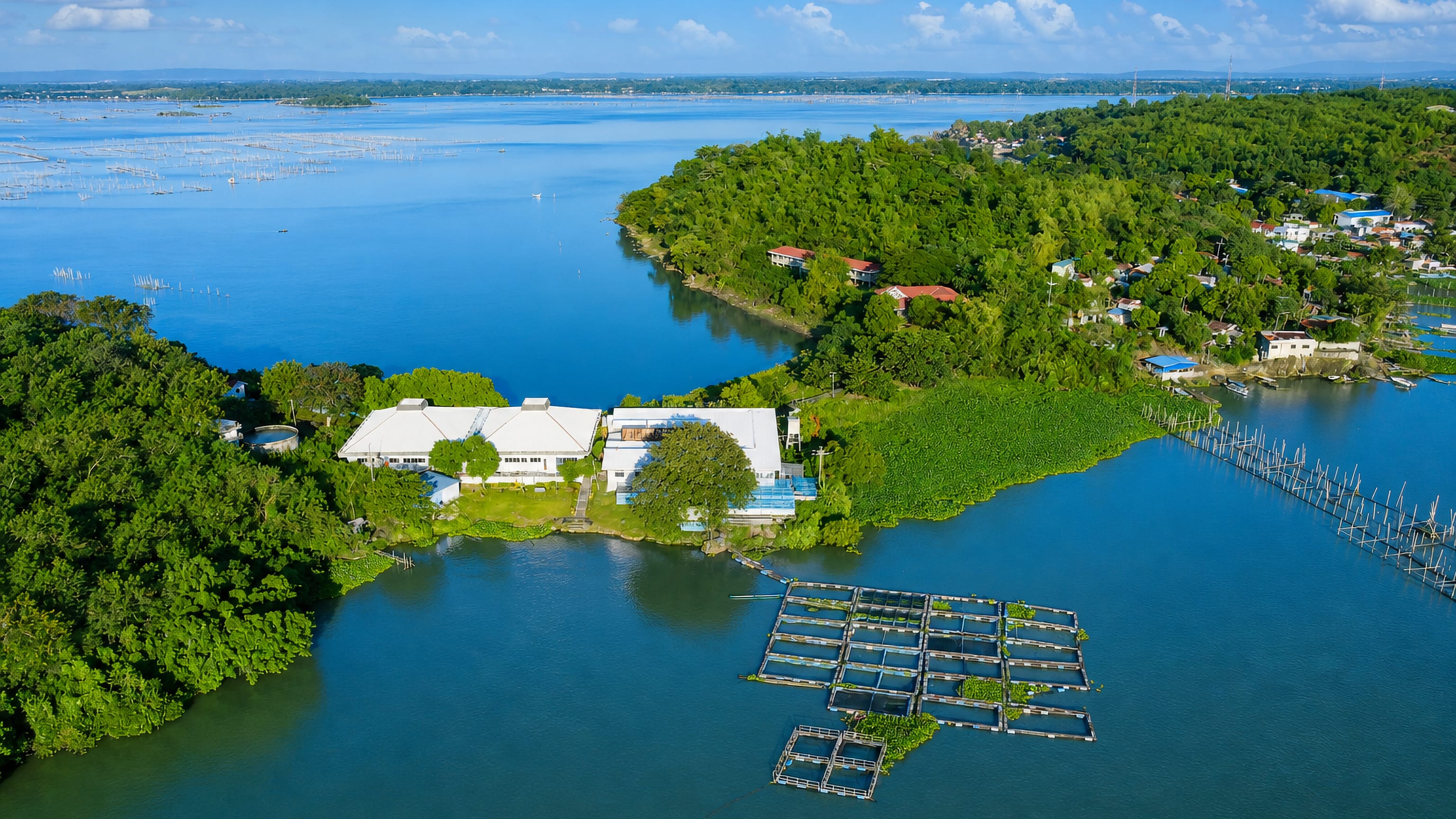 Aerial view of fish pens and wooded shoreline where Binangonan meets Laguna de Bay, Philippines.
