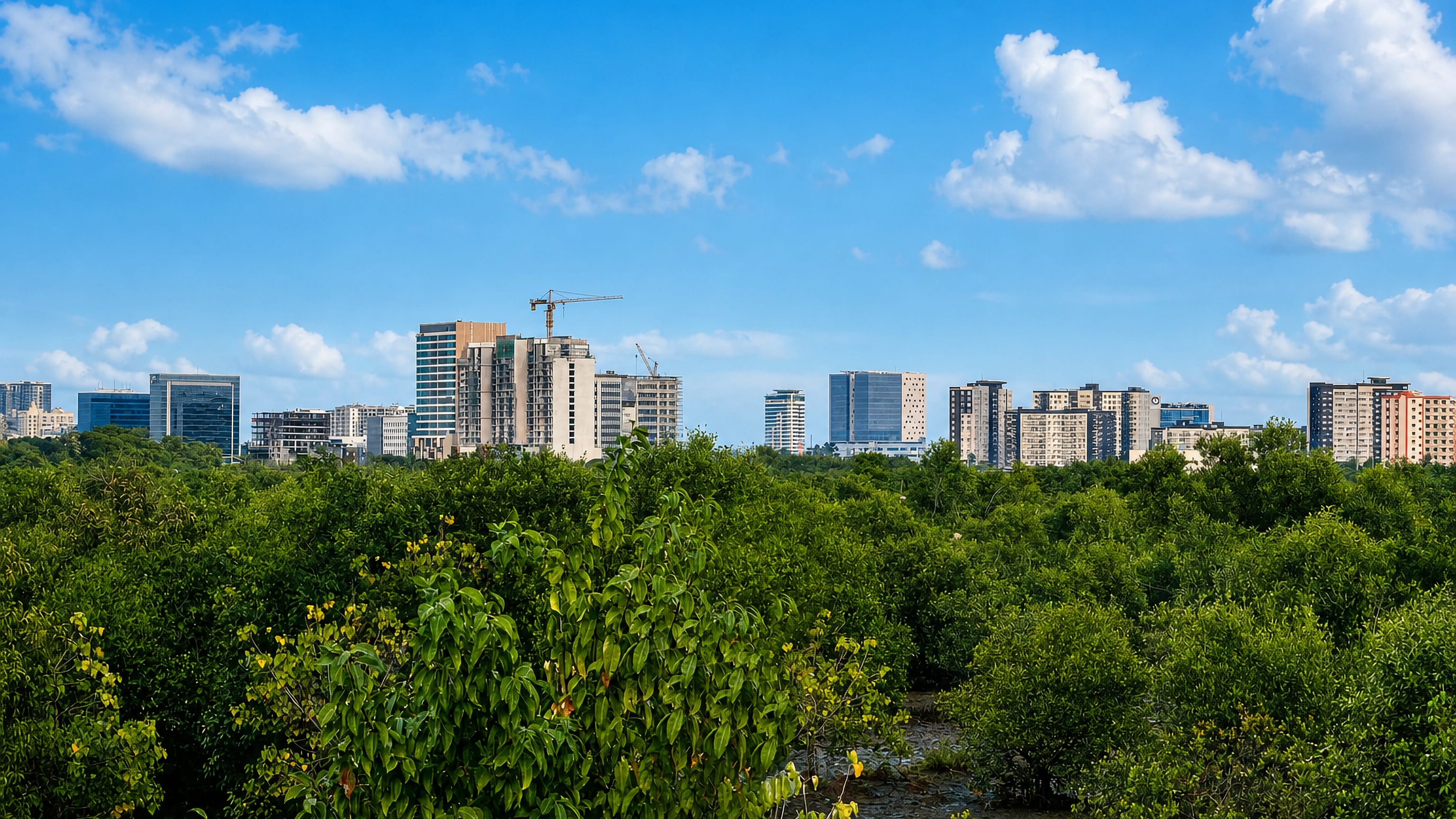 Mid-rise towers of Iloilo's business district rising beyond a dense green mangrove belt under a blue sky.