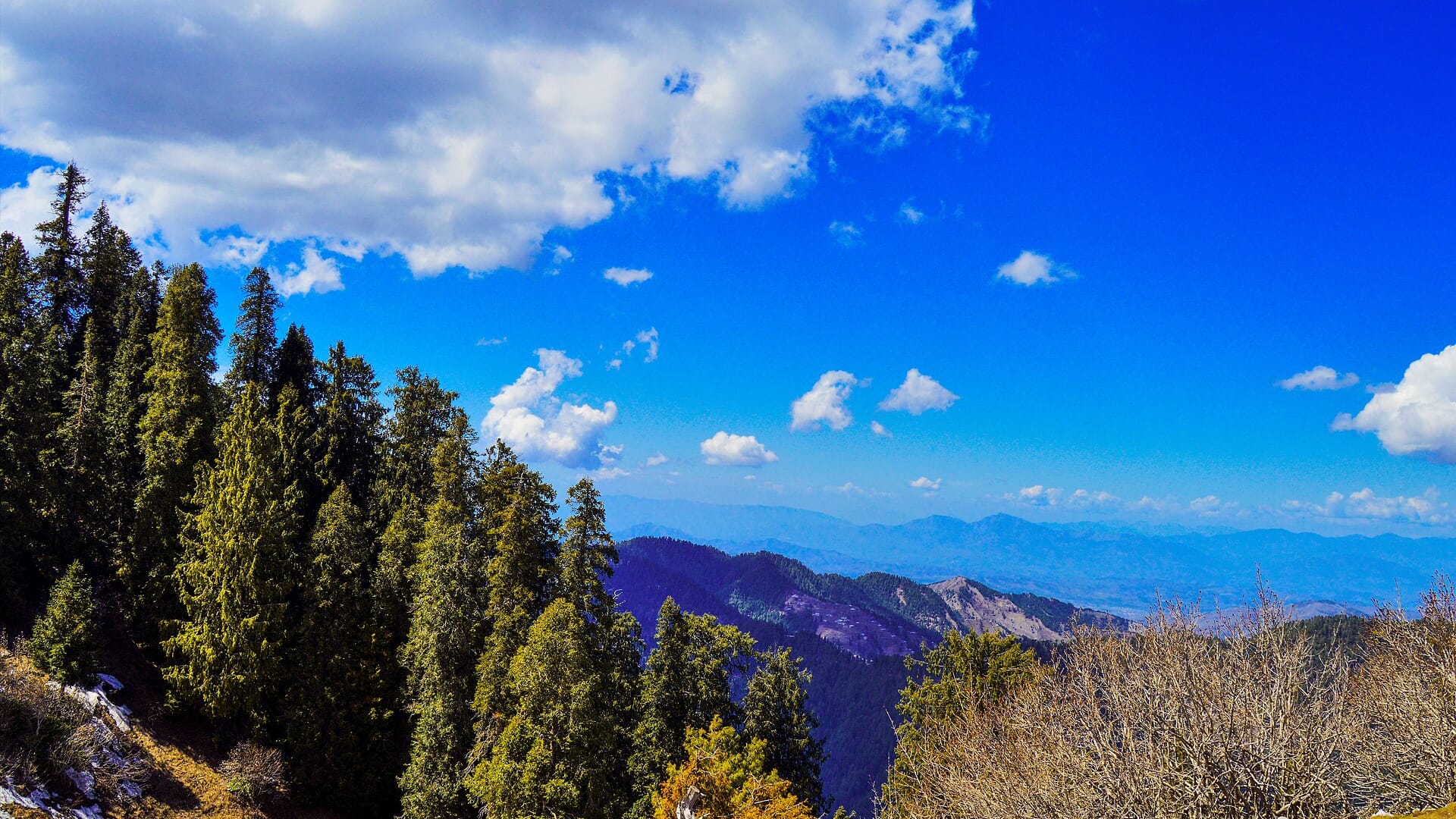 Abbottabad
