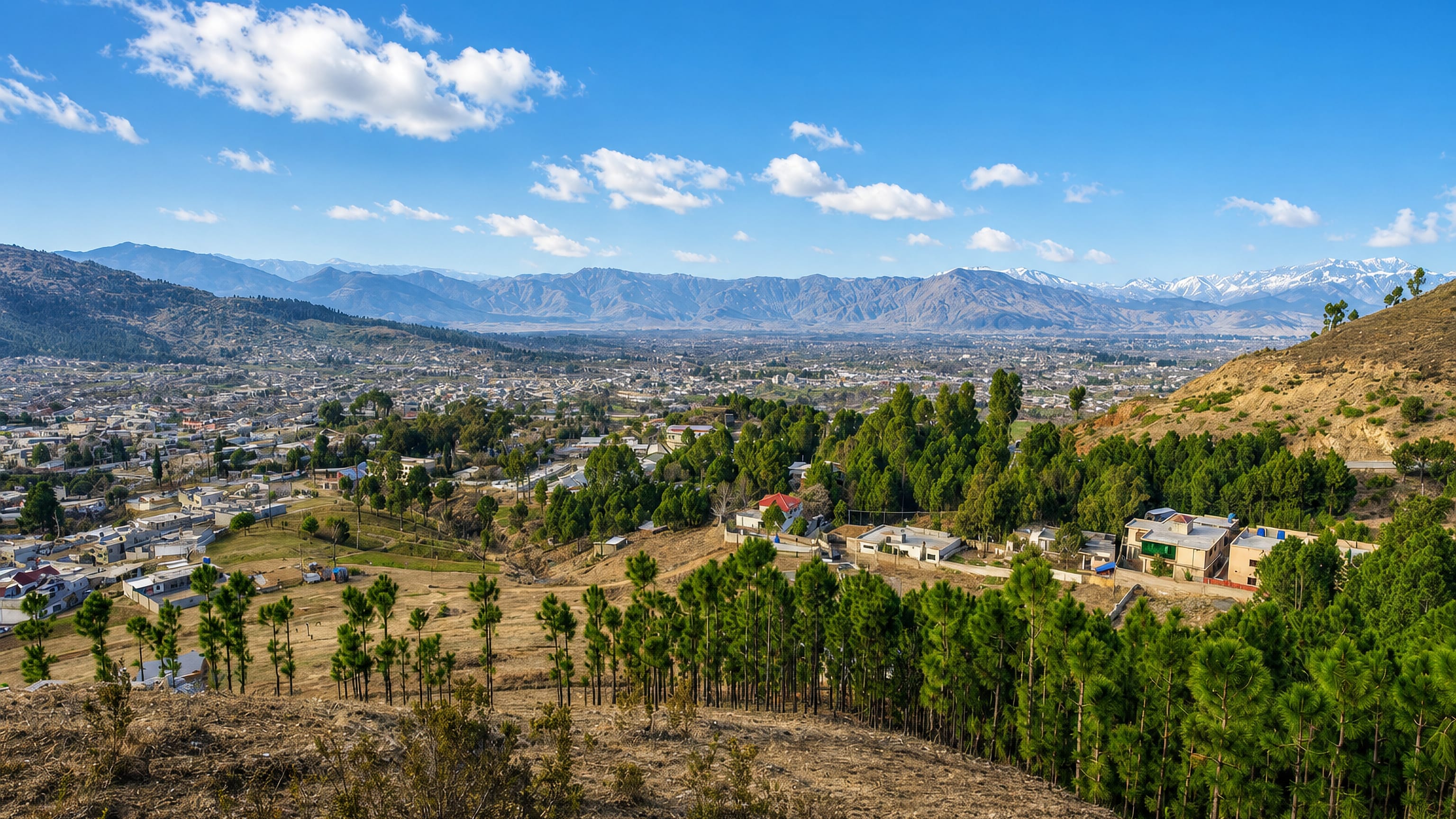 Mansehra, Pakistan, spread across its valley below snow-capped Himalayan ridges, seen over pine slopes.