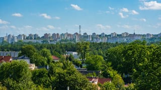 Zielona Góra skyline of apartment blocks along a ridge above a broad belt of green forest and rooftops.