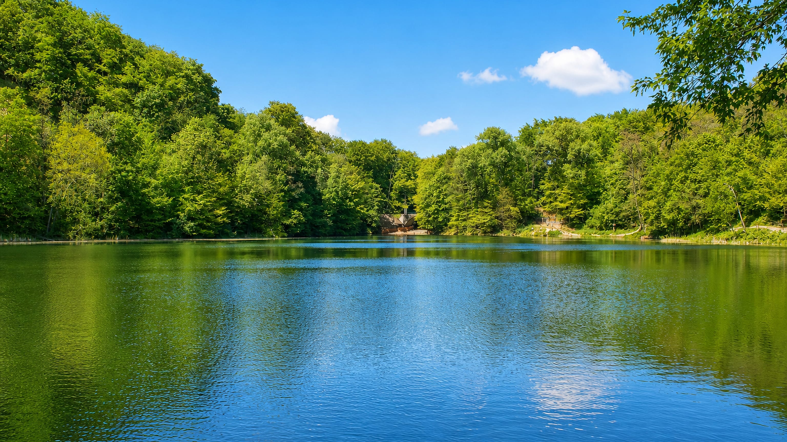 Forest-ringed lake at Zdroje, the Szczecin district bordering the Bukowa Forest, under a clear summer sky.