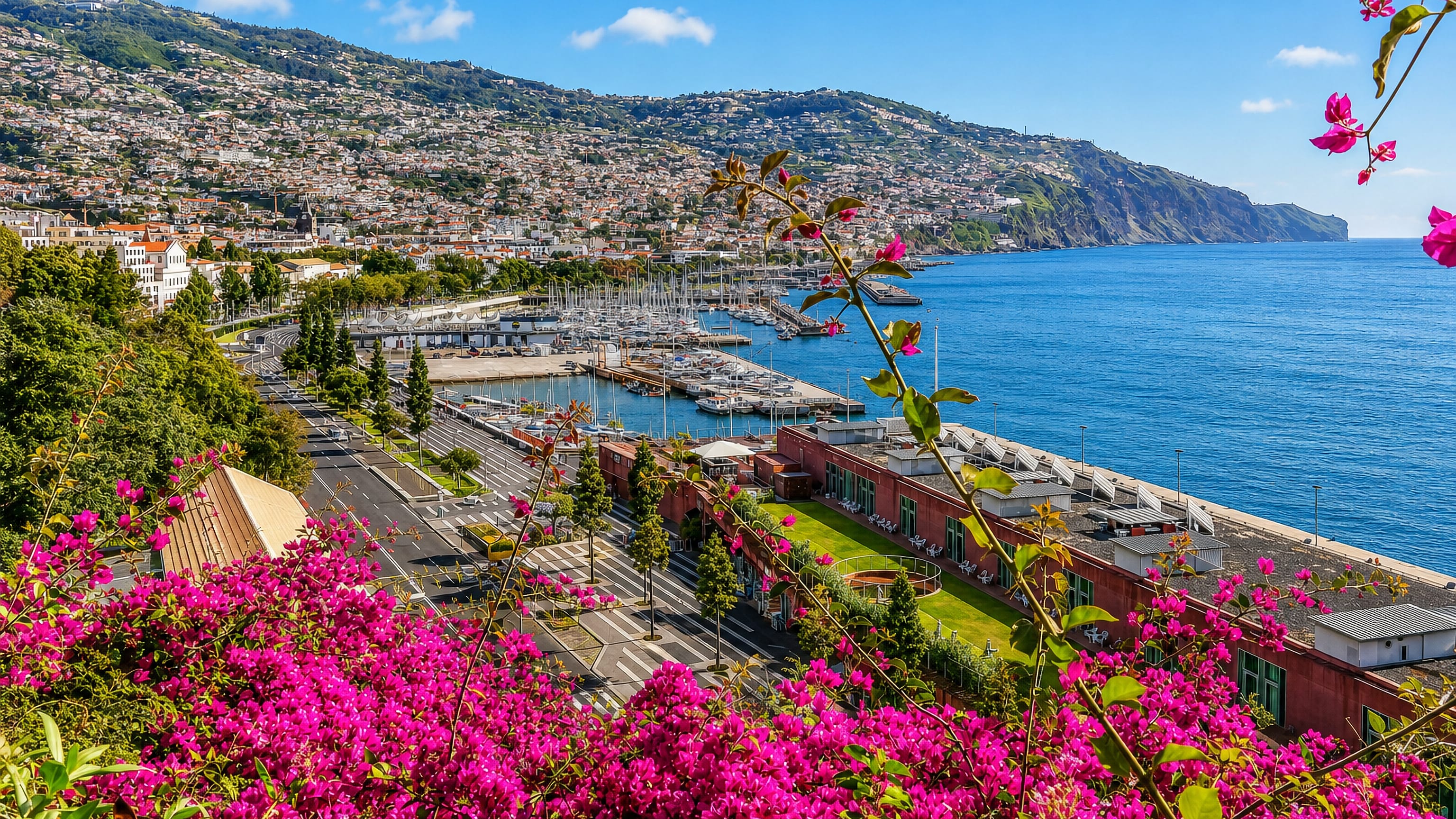 Funchal, Madeira, seen past bougainvillea over hillside houses, the yacht marina and the Atlantic coast.