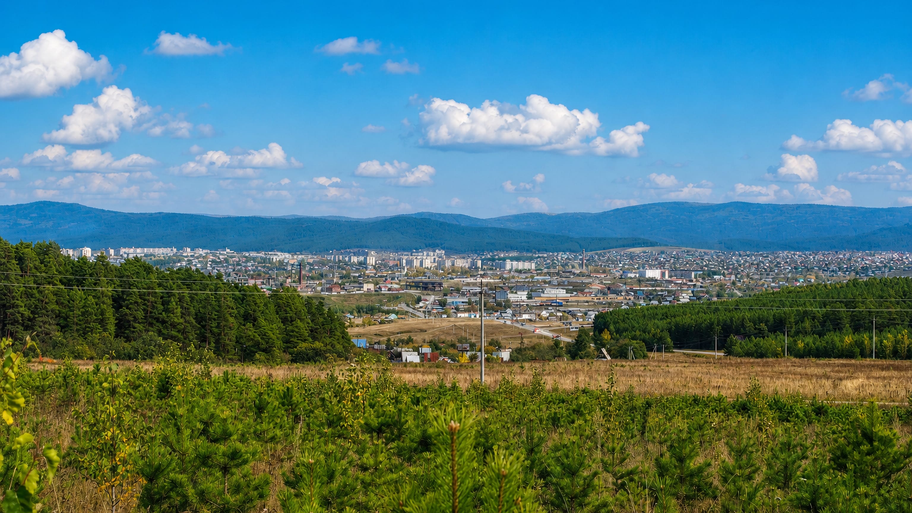 Beloretsk, Bashkortostan, seen across pine forest and meadow with the Ural hills beyond