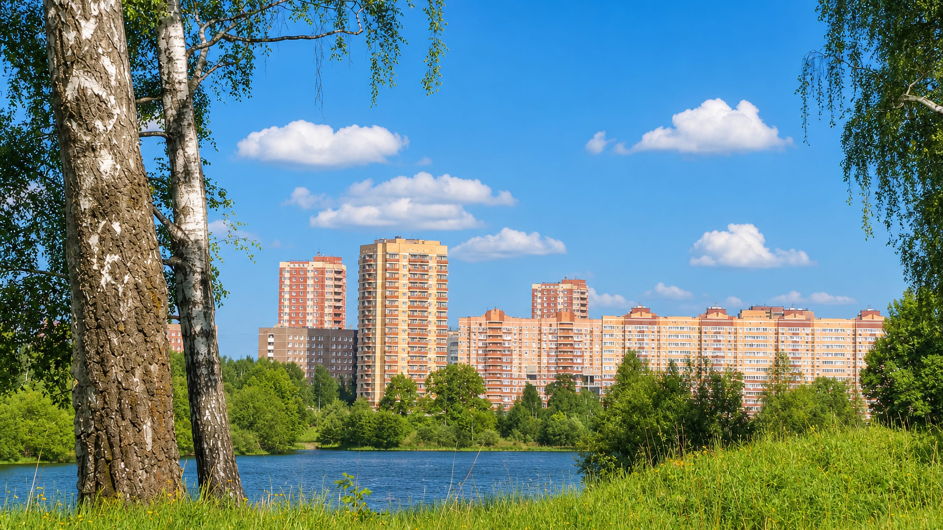 Birches and a pond in front of modern apartment blocks in Fryazino, Moscow Oblast.