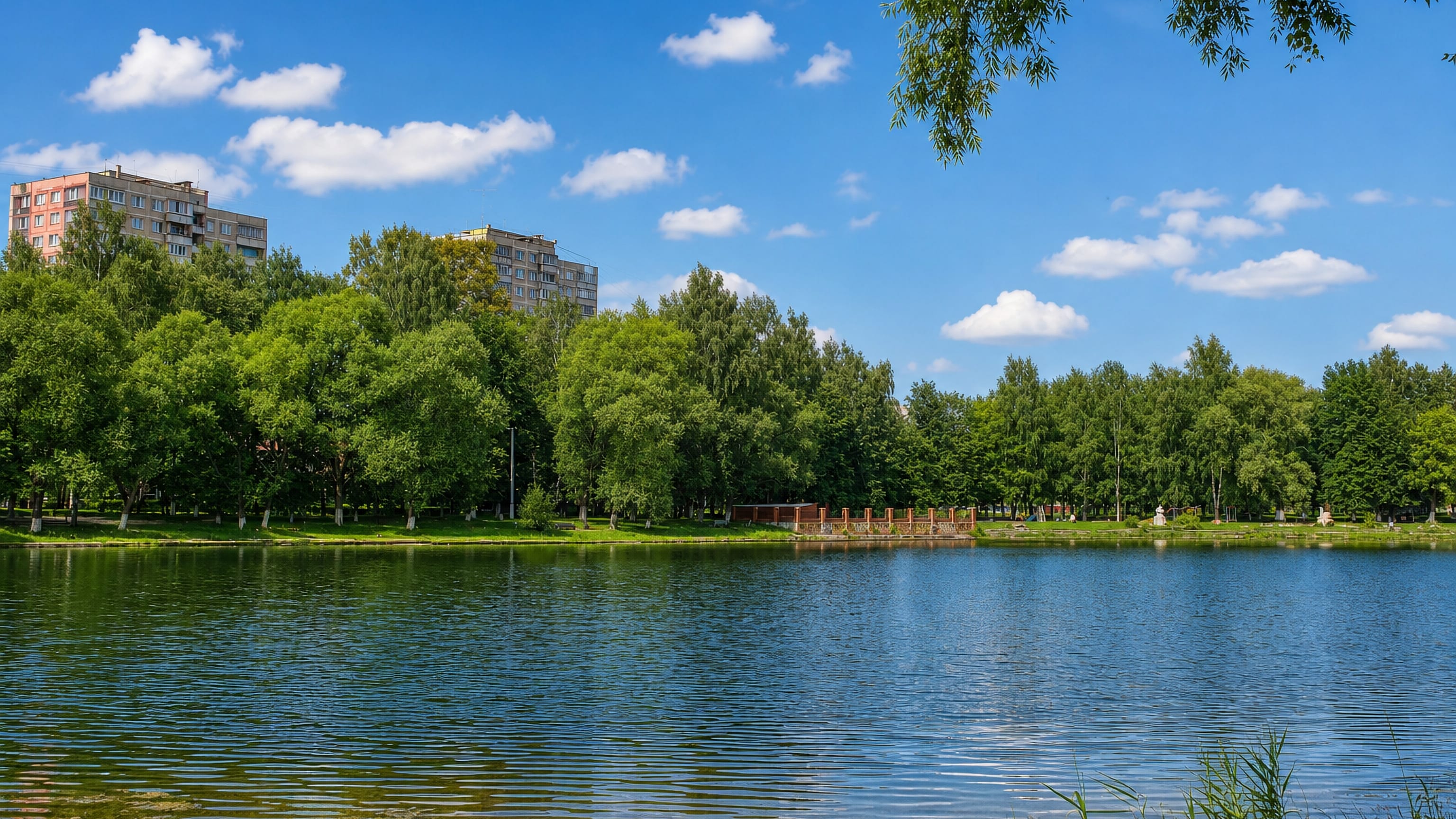 Town pond fringed by birches with apartment blocks rising behind it in Ramenskoye, Moscow Oblast.