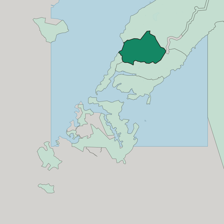 Map showing Pervorechenskiĭ raĭon — In Vladivostok