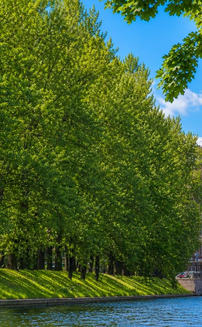 Tree-lined canal with granite embankment and an ornate domed apartment building in Petrogradka, Saint Petersburg