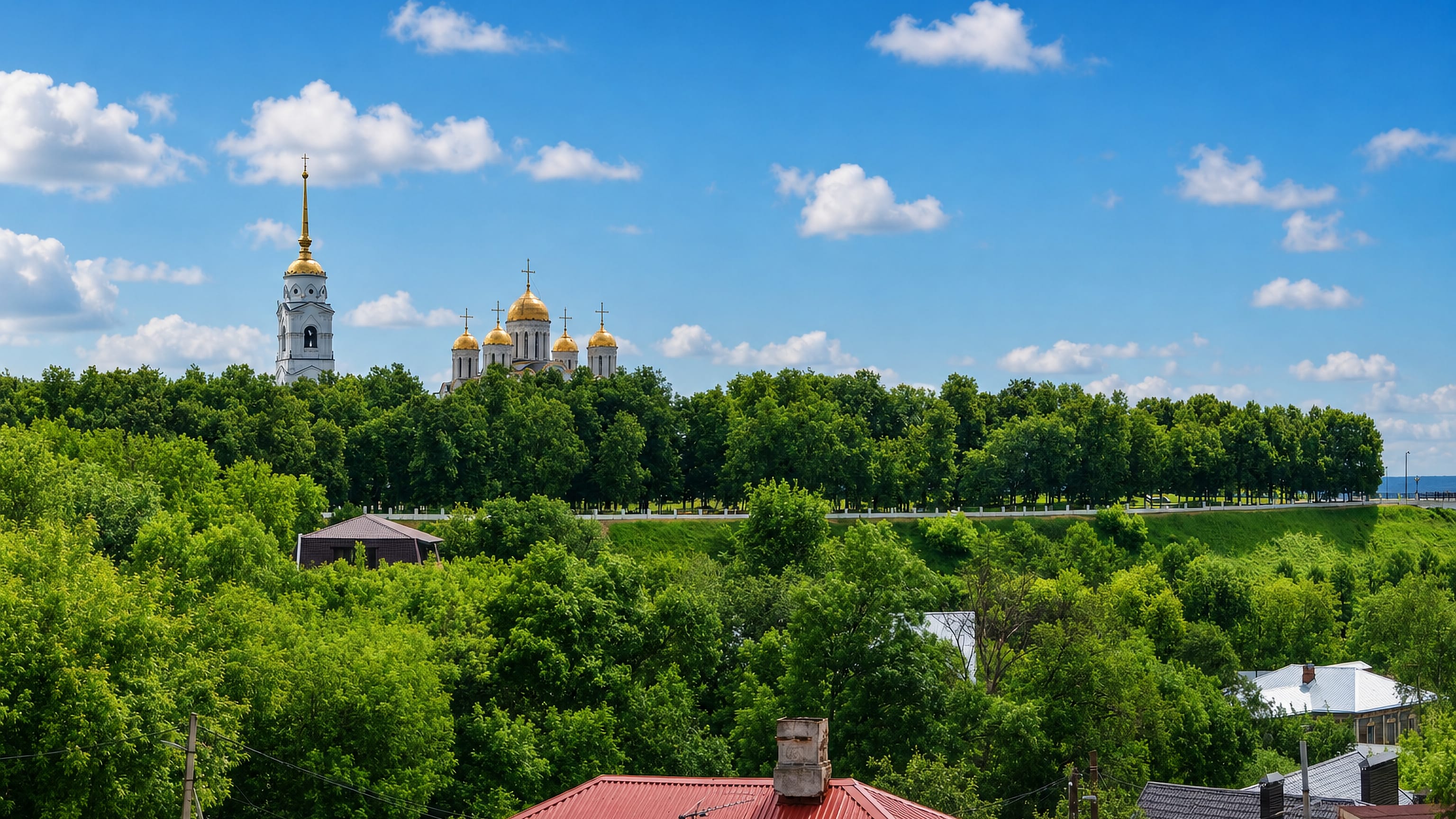Vladimir's golden-domed Dormition Cathedral and bell tower rising above green treetops and rooftops.