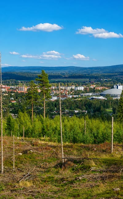 Borlange, Sweden, seen from a forested hilltop, its rooftops and domed arena set in a wide Dalarna valley.