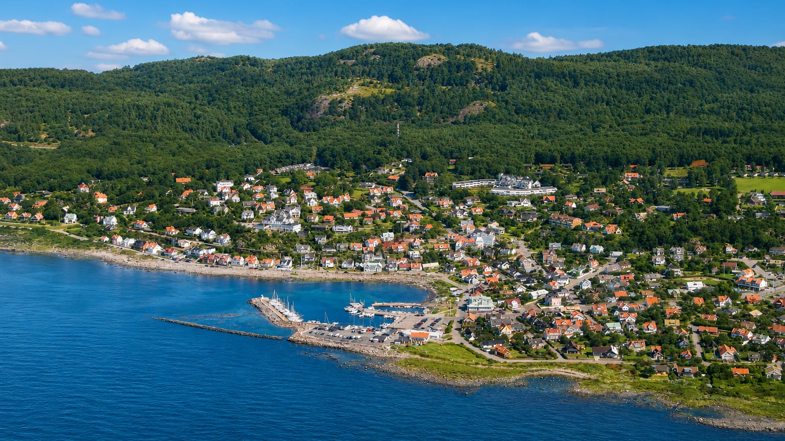 Aerial view of a coastal town and small harbour on a wooded hillside at Höganäs, Sweden