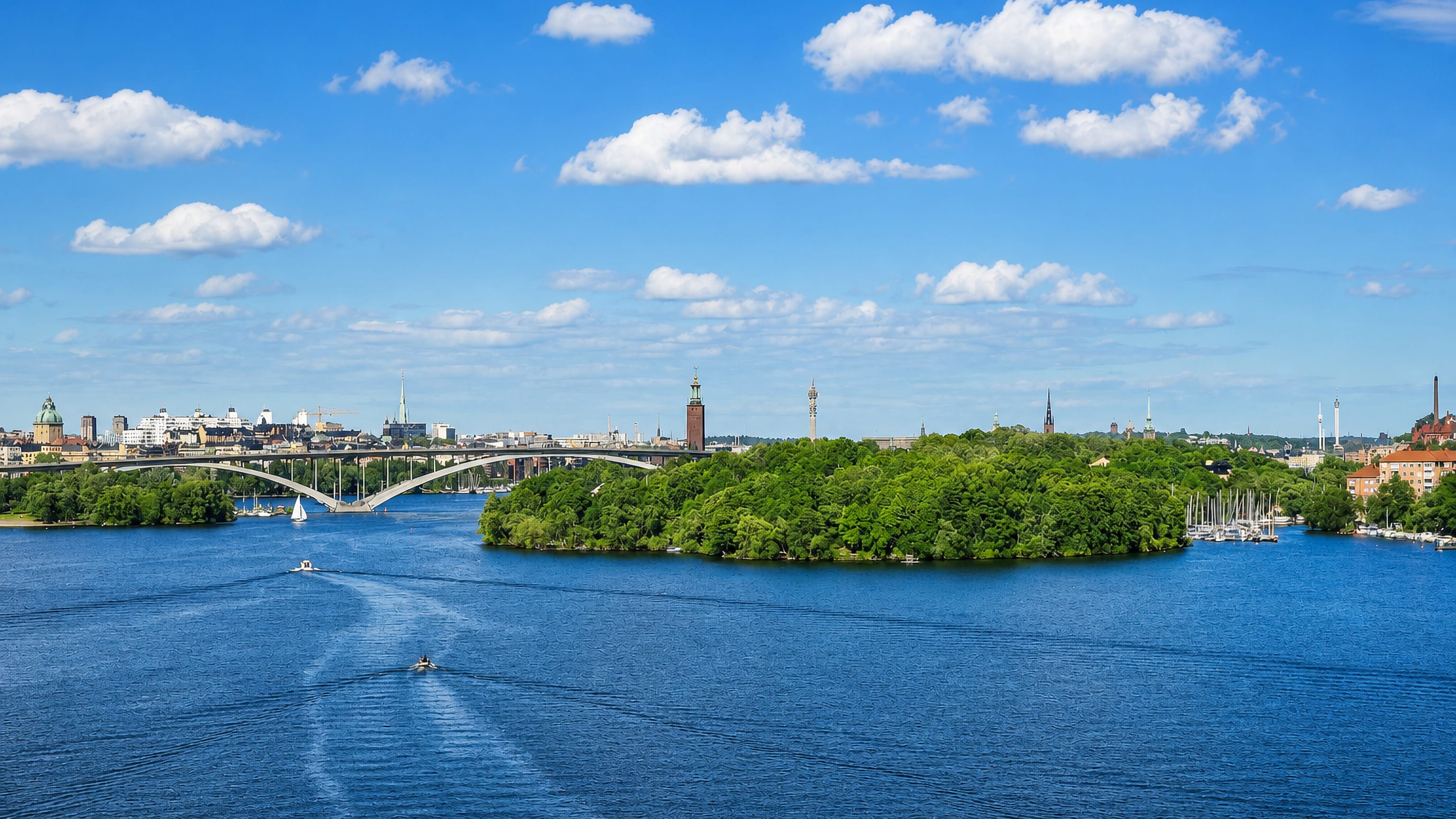 The wooded island of Långholmen in Stockholm, with Västerbron bridge and the City Hall tower beyond.