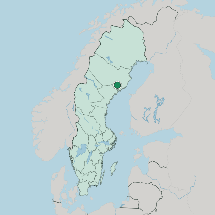 Map showing Bjurholm — In Sweden