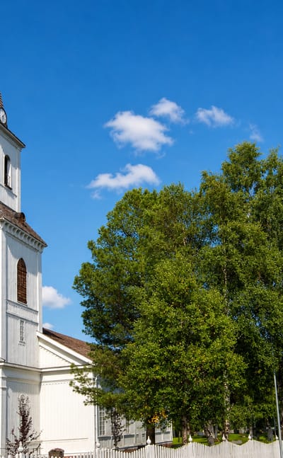 Sorsele's white wooden church with its brown shingled spire and red door beside summer birch trees under a blue sky.