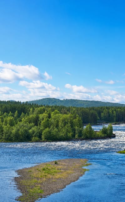 The Vindel River flowing over rapids through dense boreal forest under a blue summer sky at Vindeln, Sweden.