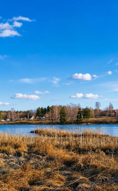 Spring lakeside scene at Fagersta, Sweden, with dry golden reeds, a calm lake and forested far shore under a bright blue sky.