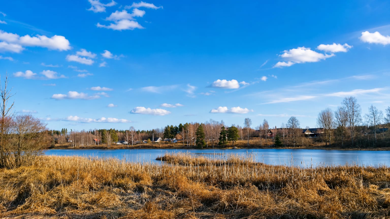 Spring lakeside scene at Fagersta, Sweden, with dry golden reeds, a calm lake and forested far shore under a bright blue sky.