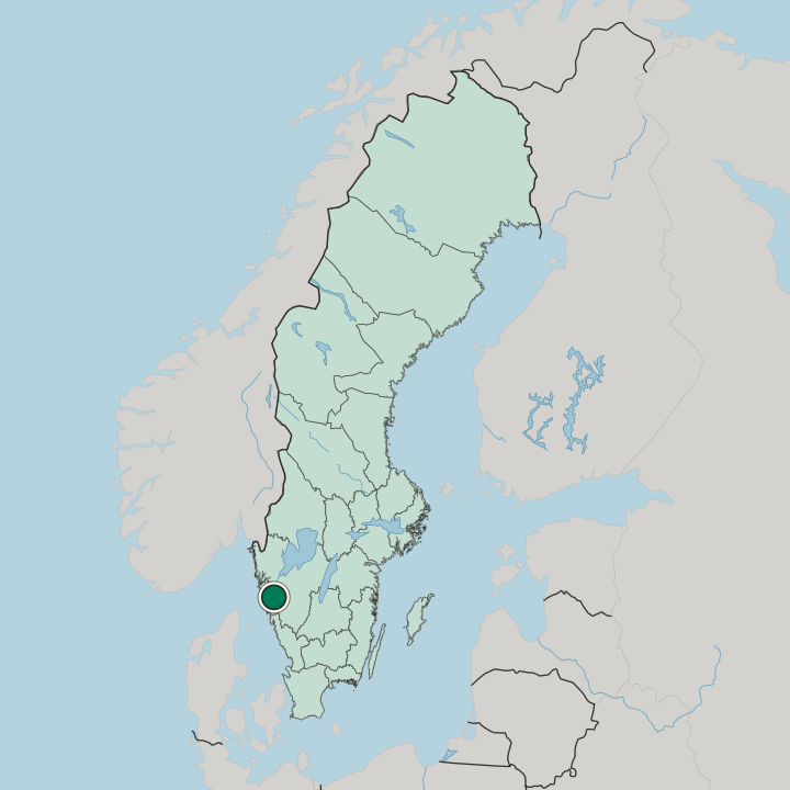 Map showing Alafors — In Sweden