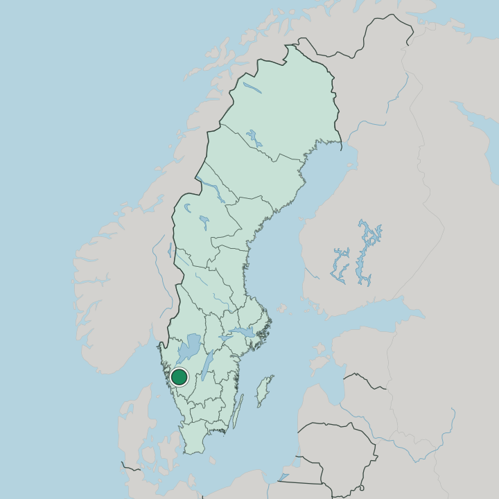 Map showing Alingsås — In Sweden