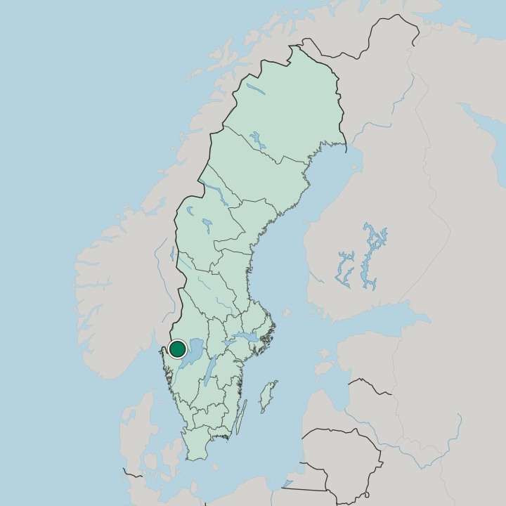 Map showing Bengtsfors — In Sweden