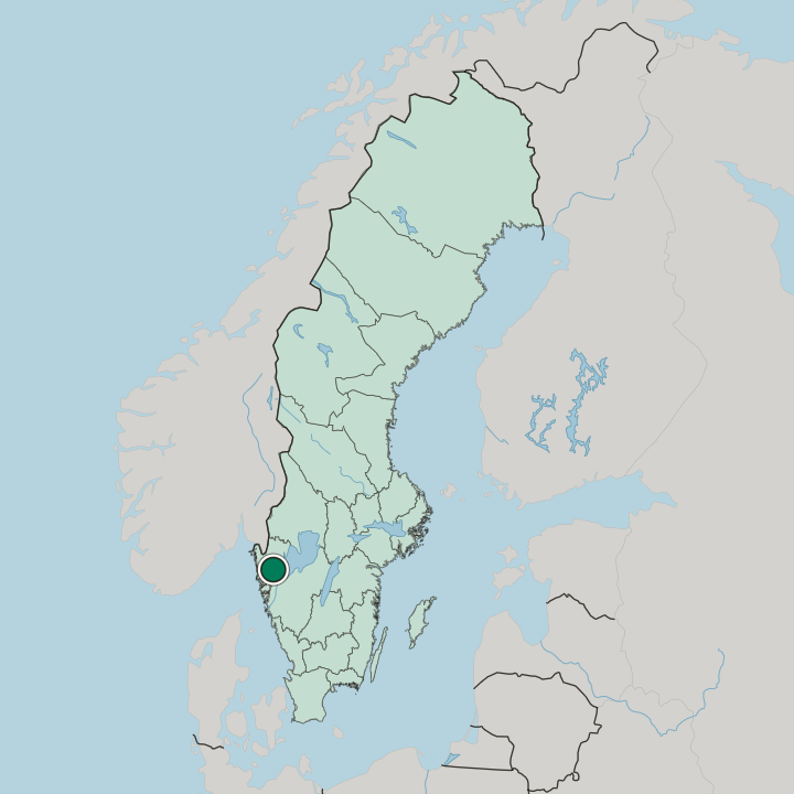 Map showing Färgelanda — In Sweden